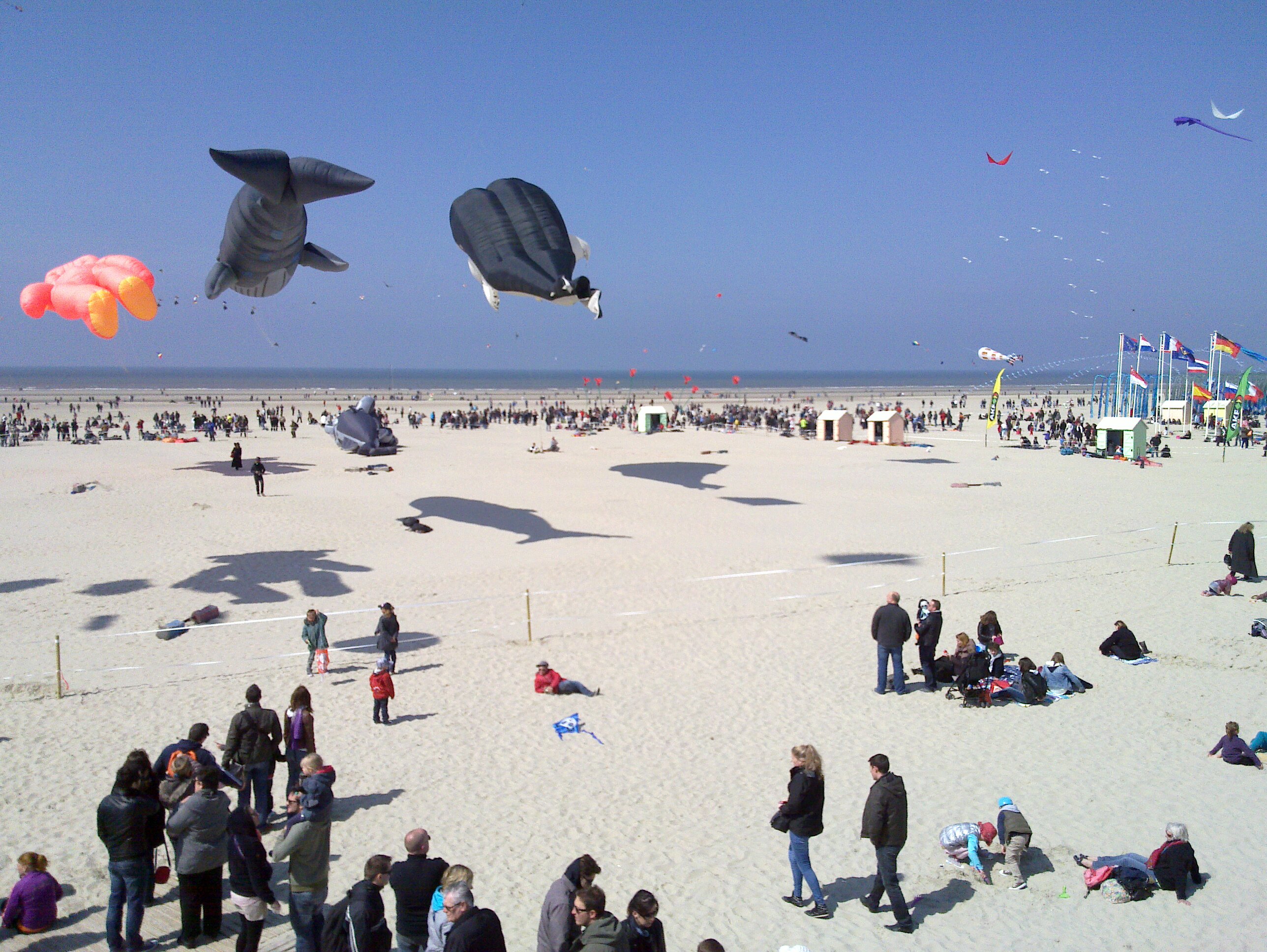 Sortie Cramayailes à Berck 2013 le 20-21 avril